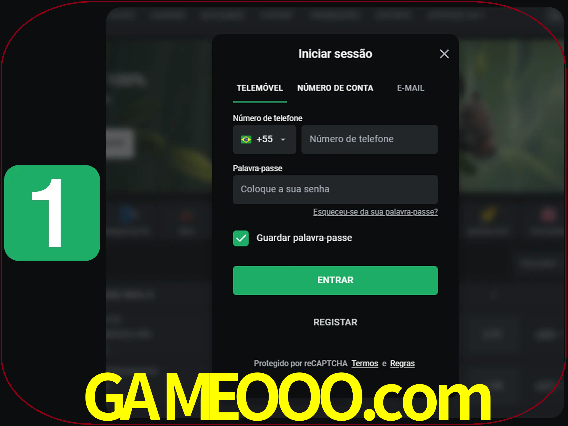 Clique no botão Entrar.
